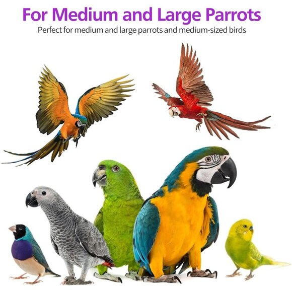 2 Pack Large Parrot Toy, 20in Bird Parrot Toy, Multicolored Natural Wooden Bird - Picture 5 of 7